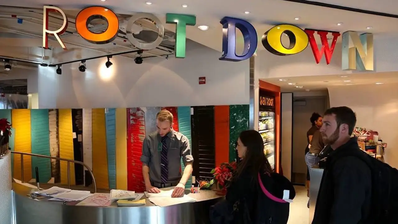 Root Down at Denver International Airport – Menu, Location, Sustainable Dining & Full Guide